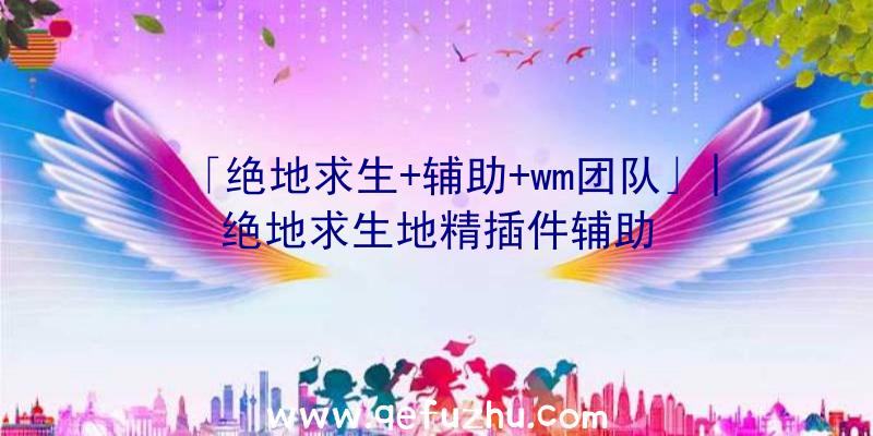 「绝地求生+辅助+wm团队」|绝地求生地精插件辅助